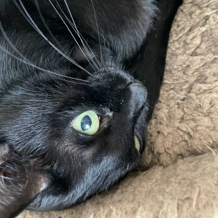 5467ac27 f6de 47f8 b576 4dc2d762fb6c 1695523367285