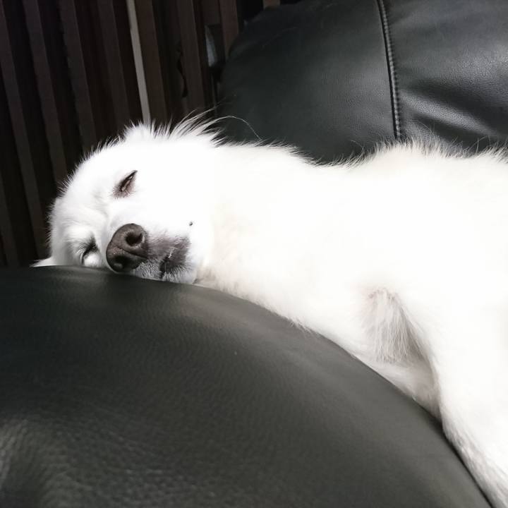 5467c949 d04f 4463 8975 0245259dcad5 1616925184204