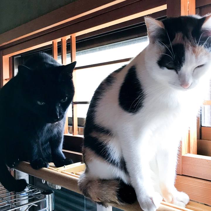 5467eb93 a0ed 4ae8 a909 0a43f6523b30 1514594667028