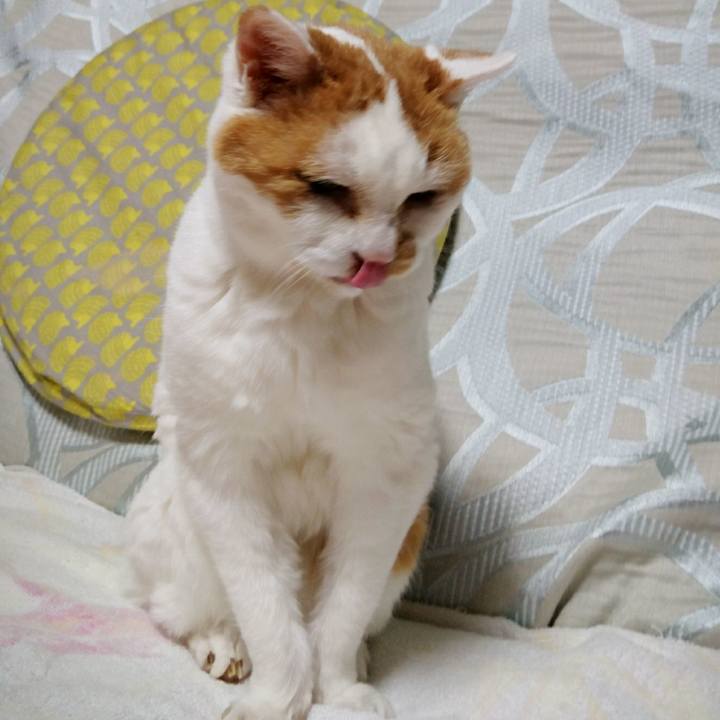 5467fd56 dfbf 412d a2c7 2dbdd26a92f8 1553162265063