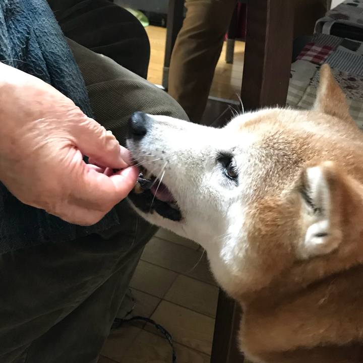 5467feff 5217 40f0 95a6 8074c8999742 1511002763743