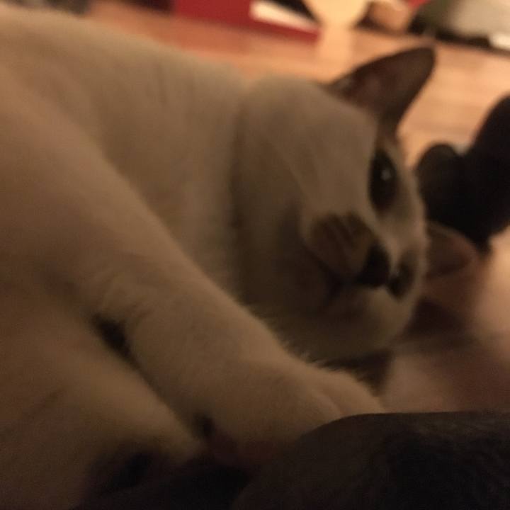 546812ba 31df 4ec9 9fab e947e208c6da 1563711663922