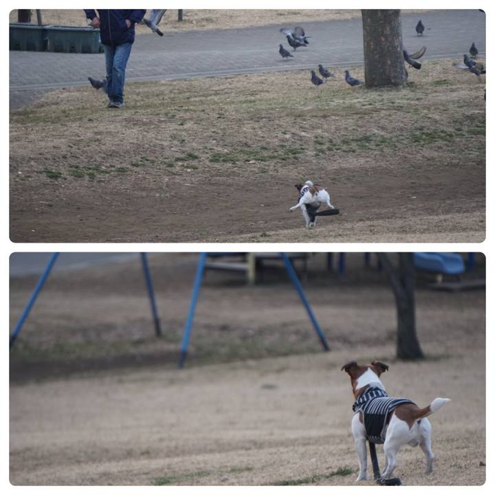 546816d1 4e76 4c97 87a4 e75ce88163a8 1519688292901