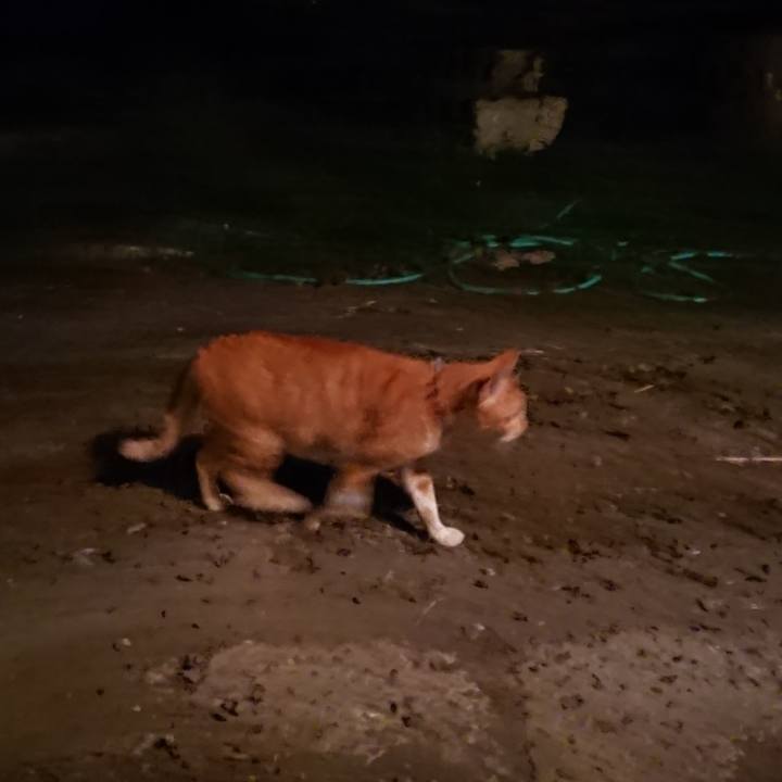 546819b6 e120 4ccb 994b 5f3be593c222 1569581225863