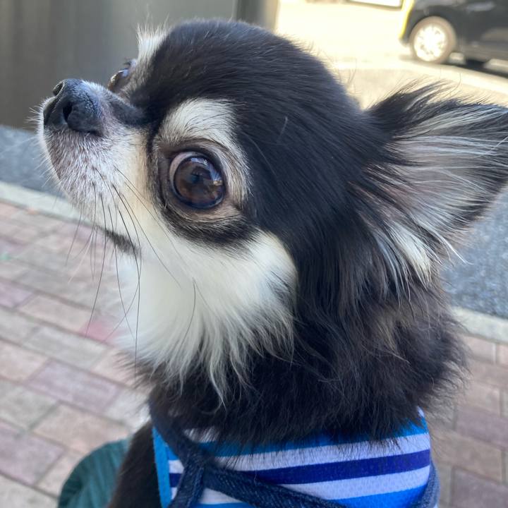 54685d04 3702 4b2e 9944 1bf9ab3f3a38 1693455847122