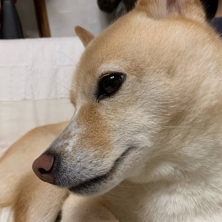 5468b913 28f9 4c94 9538 636d92572292 1630716482958