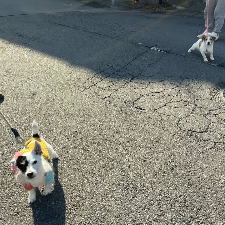 546914be bf29 4915 bbd8 84c88165086e 1770853363701