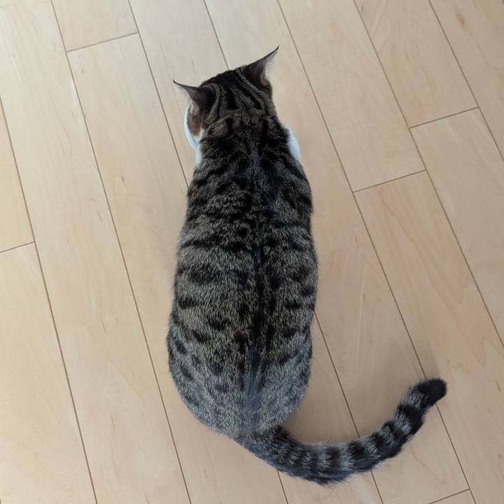 54695954 75e6 4f96 af73 e7e4237309ca 1737021542906