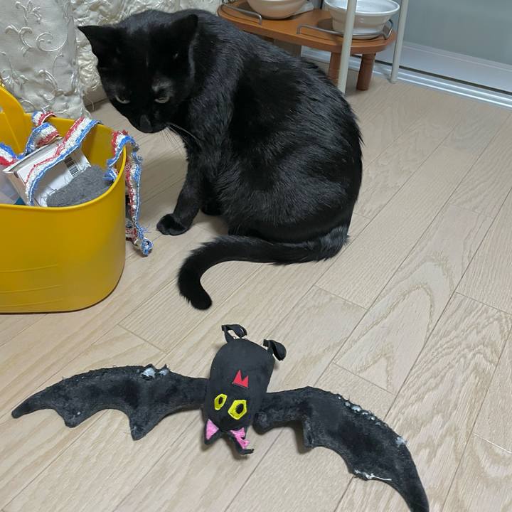 54698912 b330 49a5 98f7 914509a45194 1697718916432