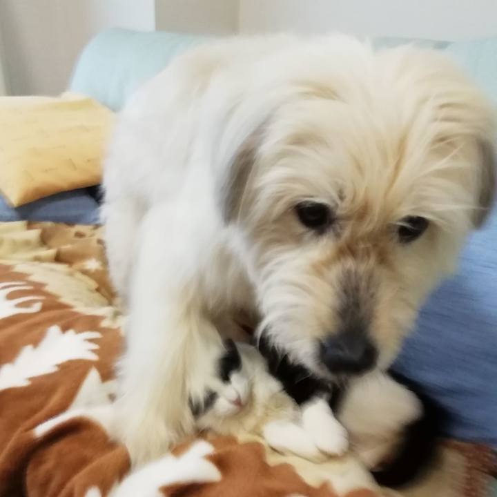 5469ab03 671e 433f b06b c08b8cc31d31 1556923847847