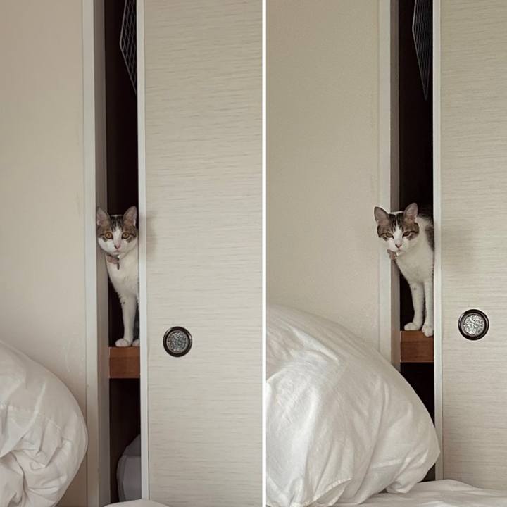 5469b45b 1ae1 4bd6 911d b02485115731 1776585691237