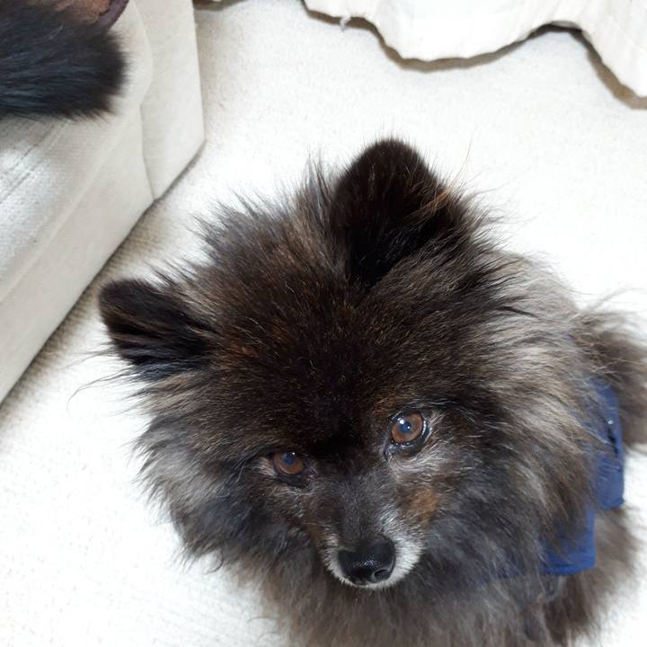 5469bd88 39fd 4ec7 9566 d188d4052638 1518726306591