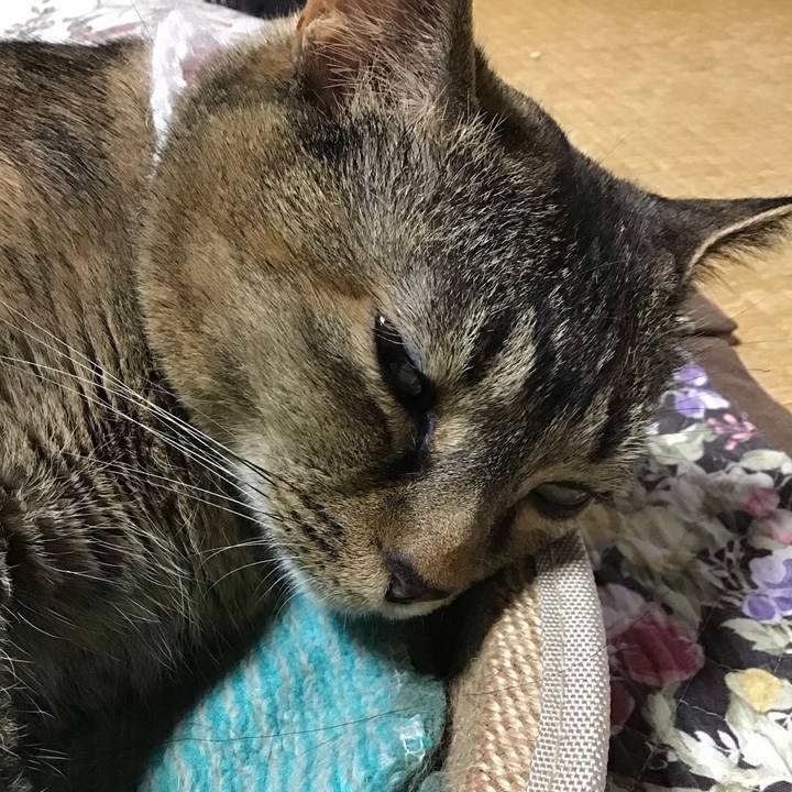 546a0e4e 25f5 4959 821a b5067ea23c3c 1748944496566