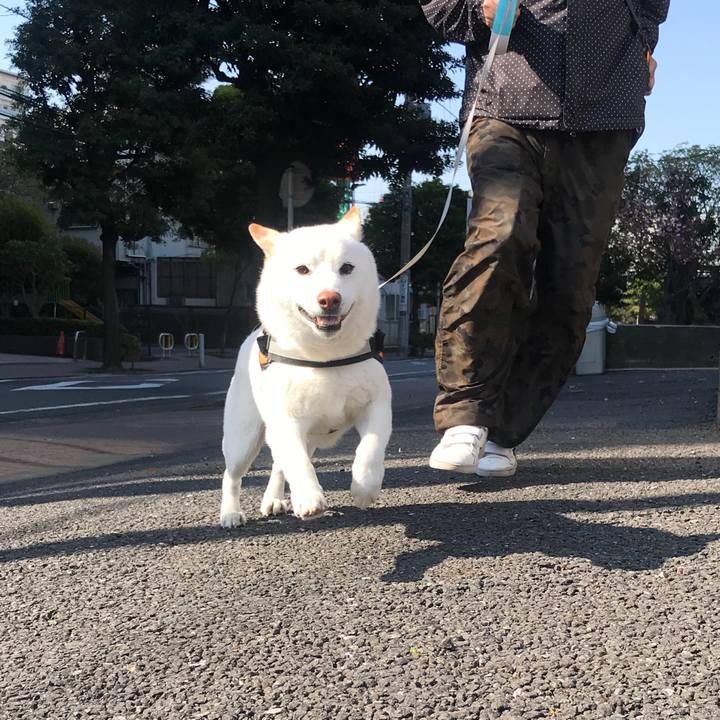 546a1763 dcfb 4fde b56a 25a4c5d72523 1586475320276