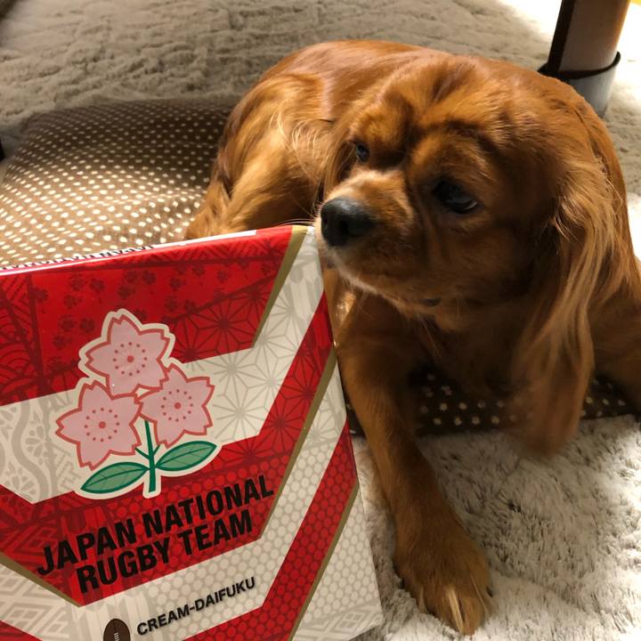 546a2289 6d25 4b87 bcd8 18928d4608b7 1571559428589