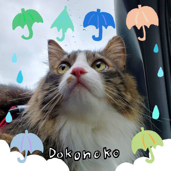 546a2e7d 7059 489e 9c57 52c4b72edf4e 1718502664692