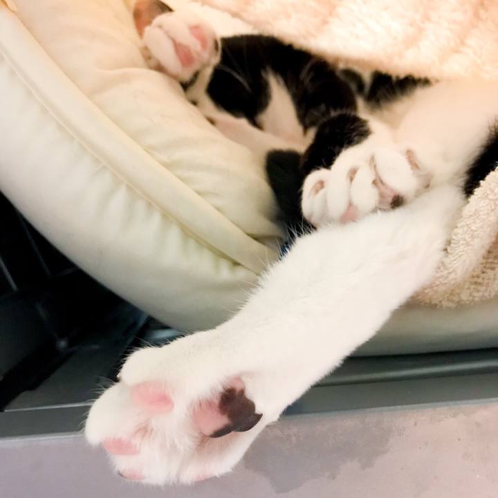 546a6d98 2b15 44d5 86bc 1c66d16eae85 1524918671515