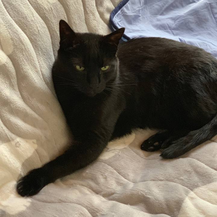 546a9e7a 9d2c 4566 8899 9675f799f85d 1556067351776