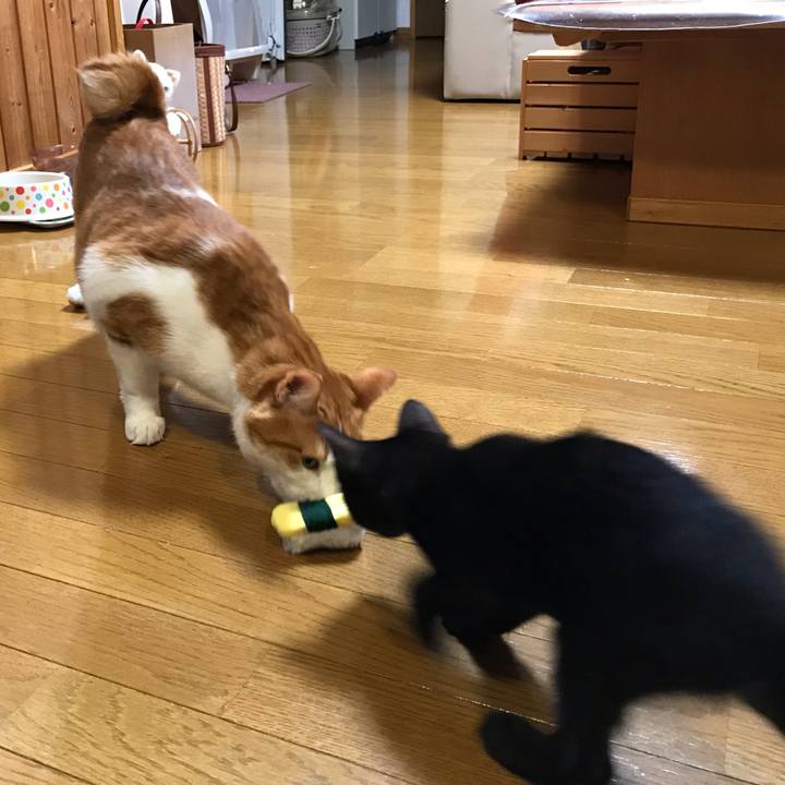 546aa56f 5083 4987 86f0 6ae310c12ce3 1563718495712