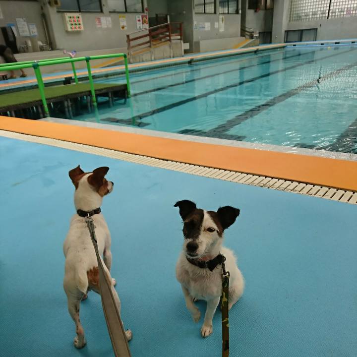 546ab440 b2d7 4556 9db5 3cbf5e1a3fe9 1531291655307