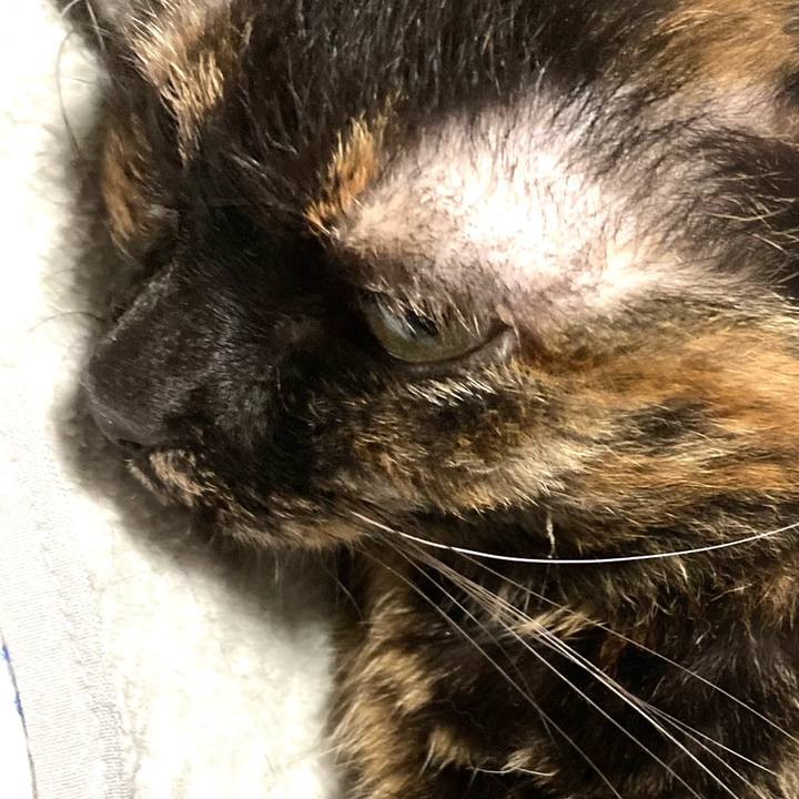 546accb5 d05b 4f34 a7a0 25c02f109daf 1655296567038