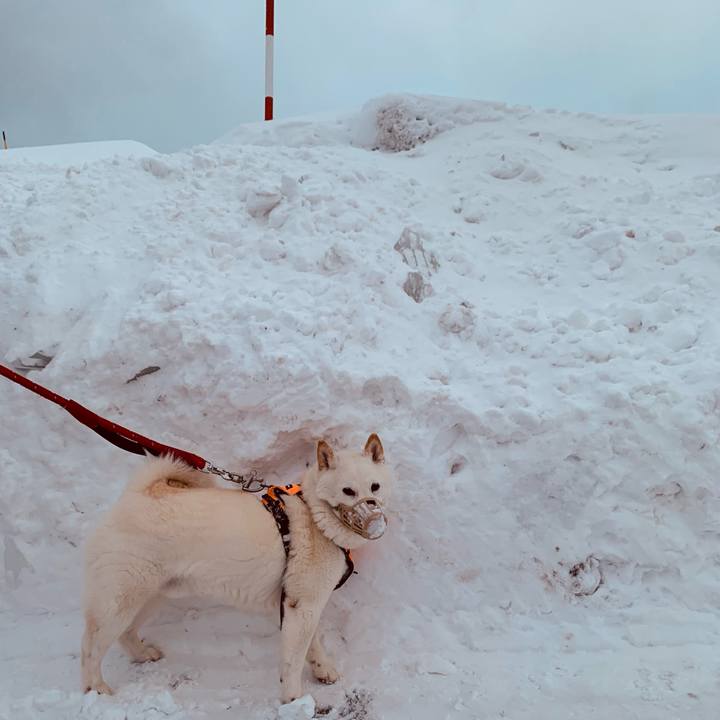 546aea79 b6be 4a49 9998 bdb16f917fc7 1675291749197