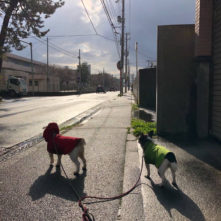 546aeb10 af43 437d bfe0 4488f3ff8e98 1554333903678