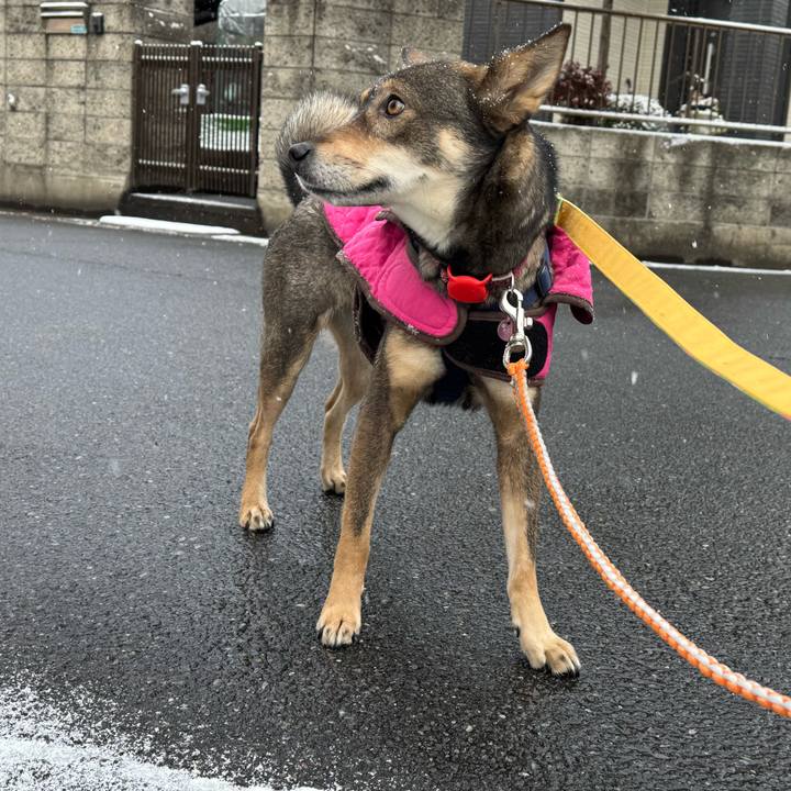 546b0f80 e66b 4f28 a307 9ab186c7cfda 1770515203612