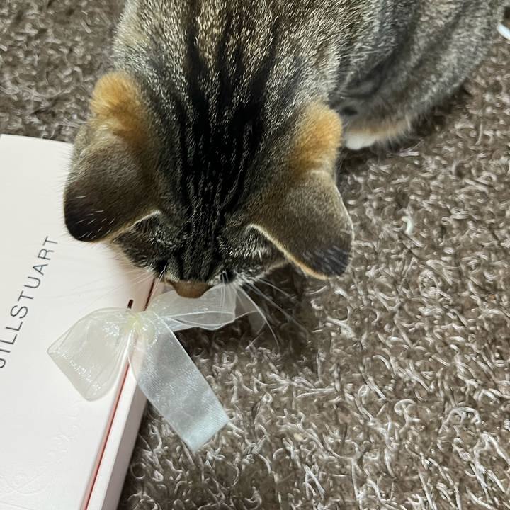 546b28b4 3009 4c53 b4ad 684b6de6f89d 1684332326047