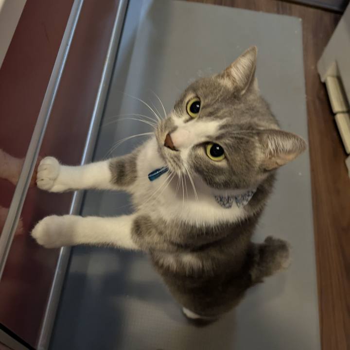 546b40be 62aa 4a61 aa9f d78128e3c16e 1763977508851