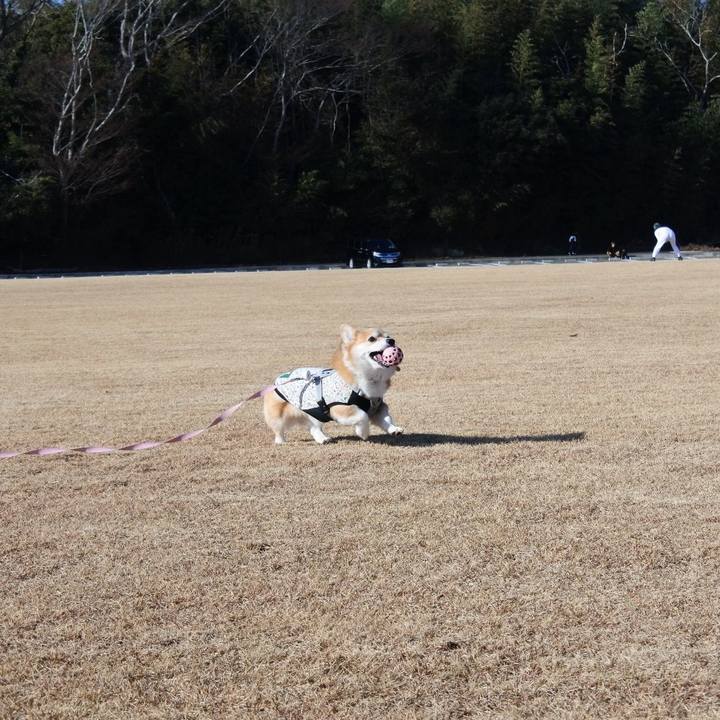 546b6695 fec9 489b 889e 8cad9791b6c9 1766235760847