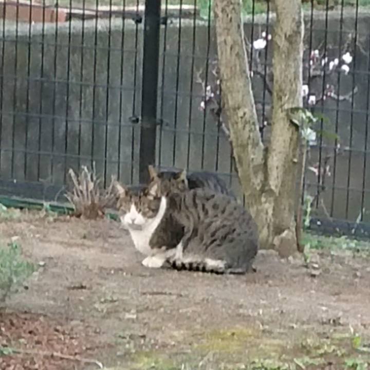 546ba178 4332 4a43 9bda 25e816285679 1677851340245