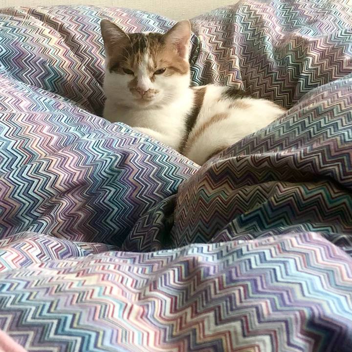 546bf1f2 8dfb 4631 95a2 b64acaa258b5 1573272394791