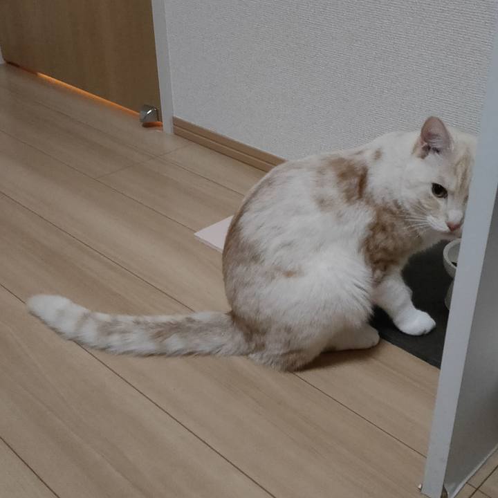 546c11dd 6d10 4dcb 8629 9da18356ffc5 1661007917986