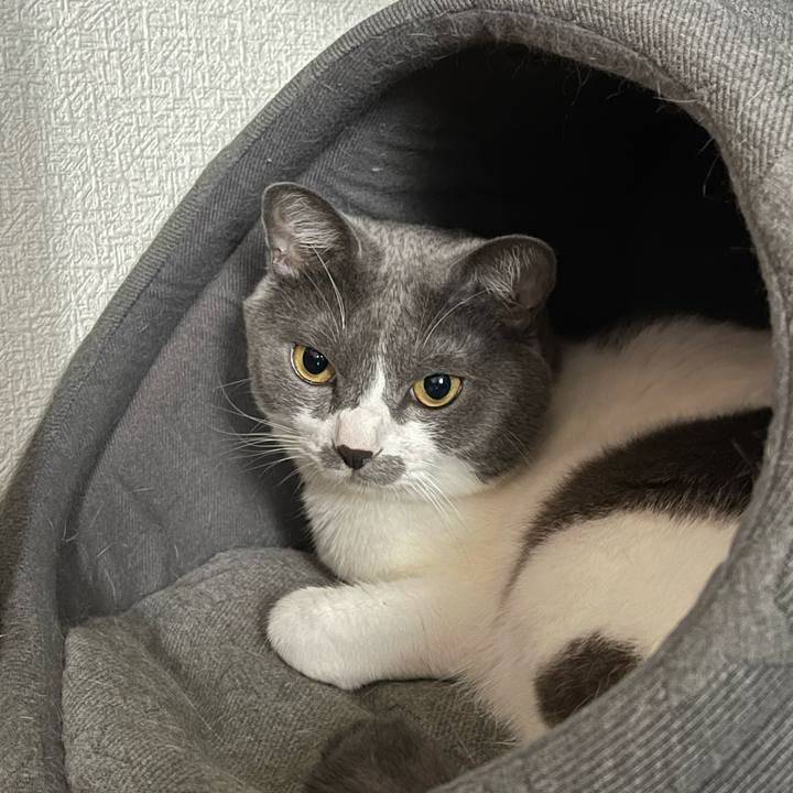 546c3a6e 8ece 4f81 8f8d e1ac54a7aa20 1663808404459