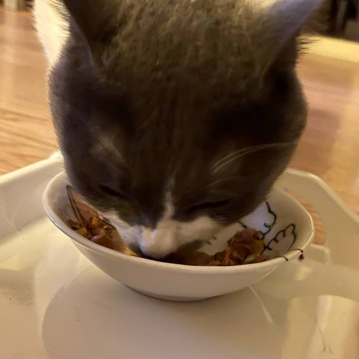 546c4296 09f4 4fcd b3e7 c06cbf6b23e4 1659950347919