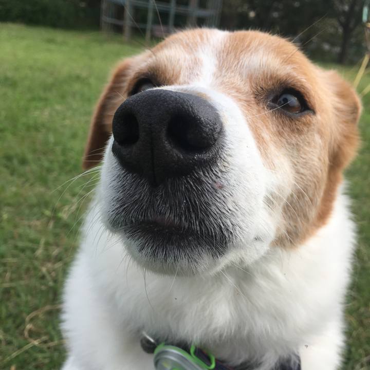 546c5510 23ae 47ed 9c32 5655b8ccce2f 1539575261025