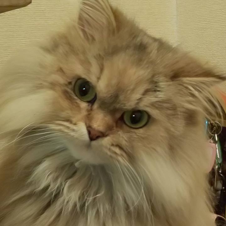 546c9e97 8fd9 4735 8a14 339f43ff02cf 1608940339921