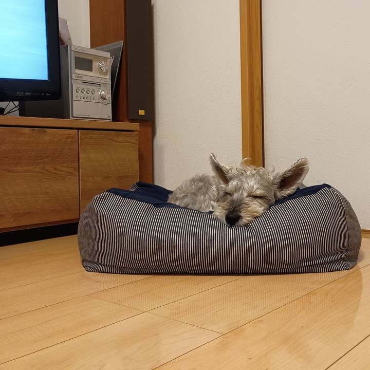 546caefc bda9 4db8 acd6 9c1ddc12a5a1 1766318809549