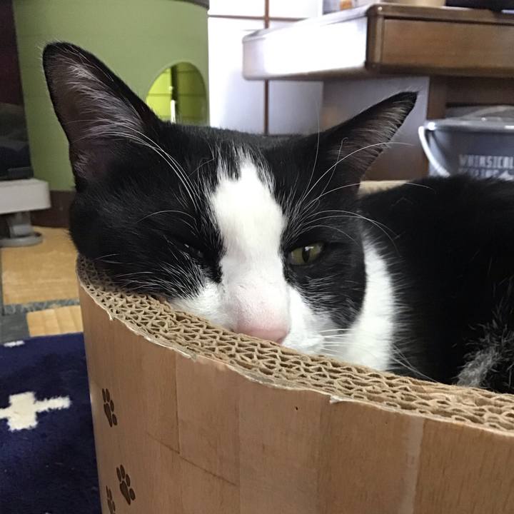 546ccd1e 1f14 407b 9036 eb13a28eaa9f 1738754737781