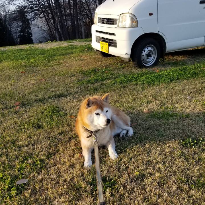 546cd250 9415 4580 b95a 1a57f145ed19 1669617302140