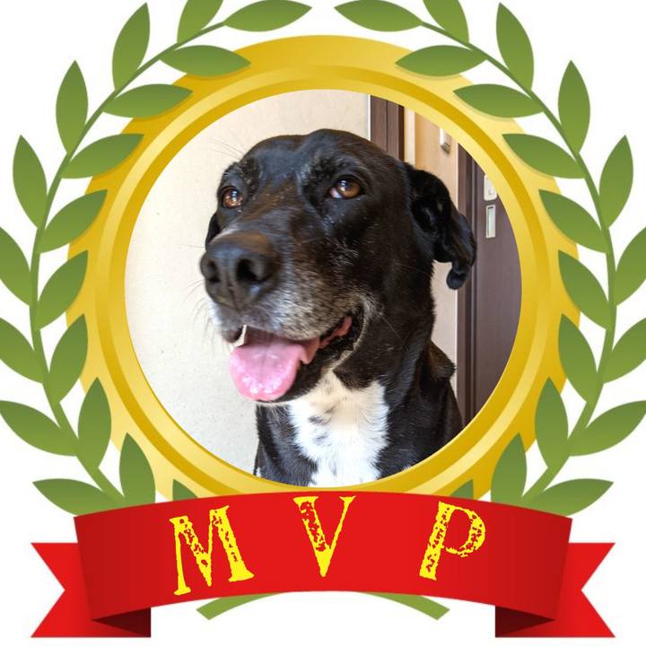 546cdc0a 93a3 48c4 a8a3 46c46a1dd2f3 1700269013428