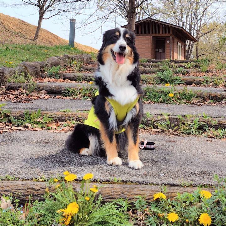 546cf0dc 6e83 479d bd81 65cd5352c30d 1772882283552