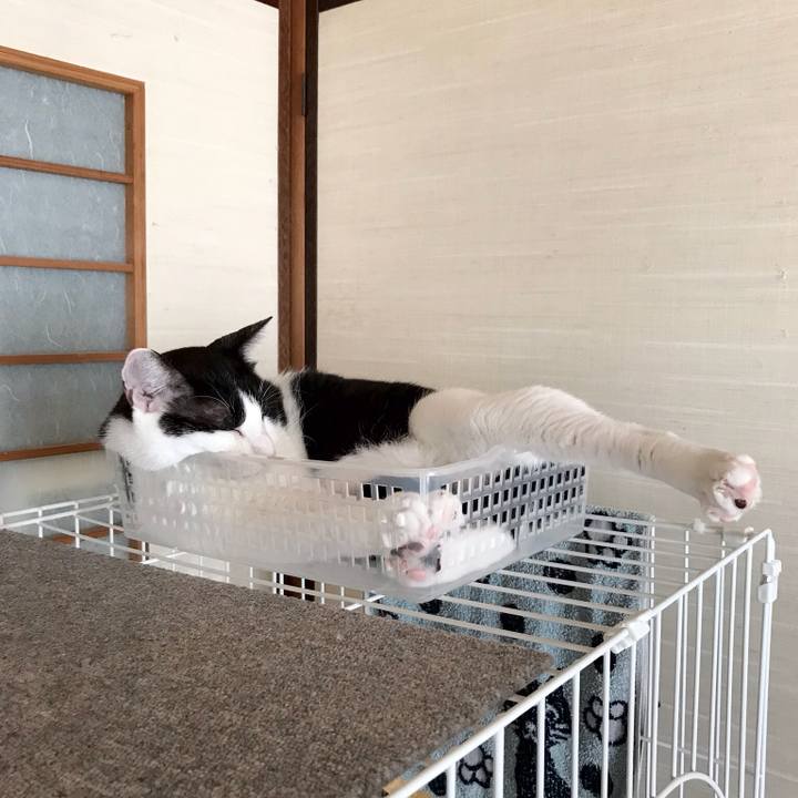 546d647e 13bb 47e5 a7d7 0daa4da8151b 1536991828359