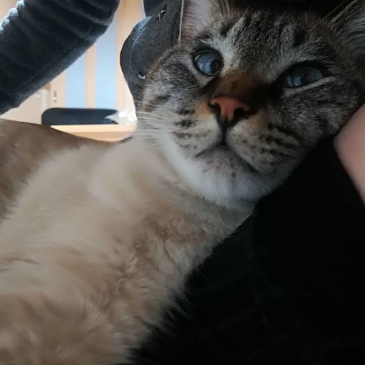 546d665a 7c49 4b74 a9de 17ed9601d036 1513333351827