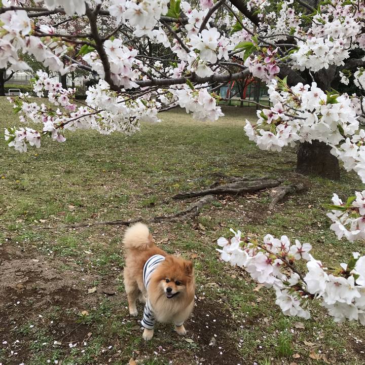 546d69c3 5825 4834 8e7a 03616d2f531b 1555244548631