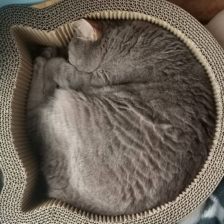 546d92b7 c2d3 4e95 b542 268b67dddc42 1630888908775