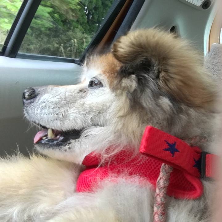 546dc714 8fde 4bf9 bd32 d9a28b31db7e 1572915066921