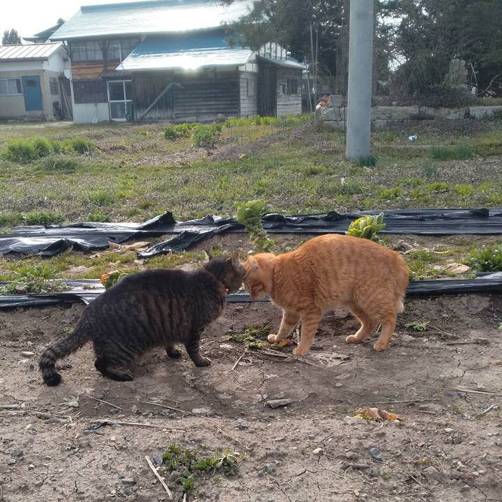 546dcd07 b649 4d9e 8418 b25270fc5898 1712046877104