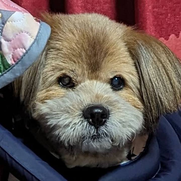 546dcf73 e8ea 46f4 830b 624c4c3bed20 1705921576037